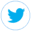 twittericon